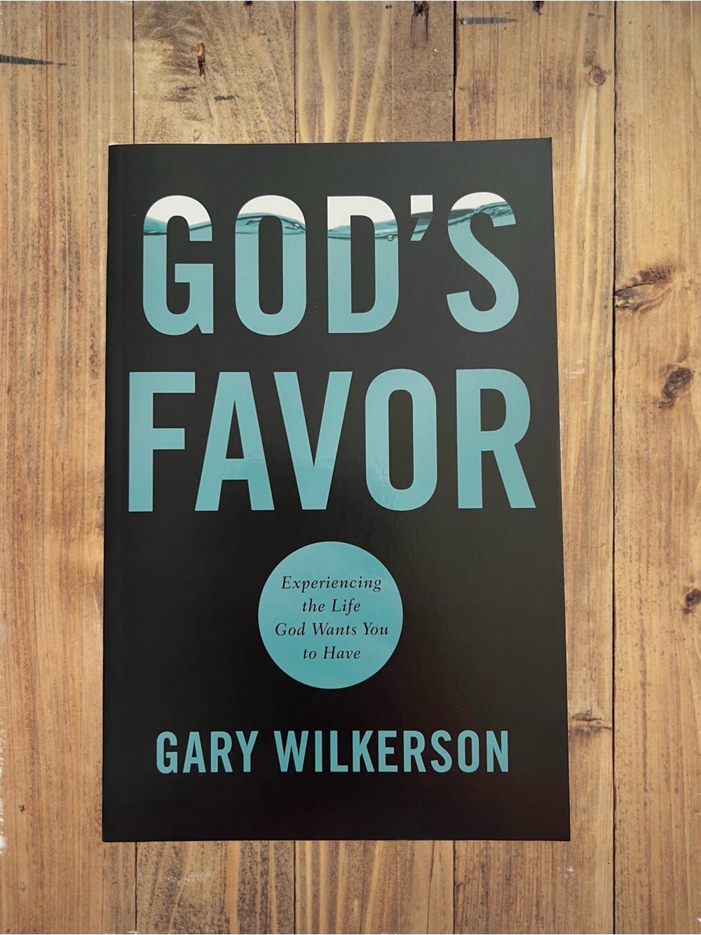 God's Favor by Gary Wilkerson Paperback